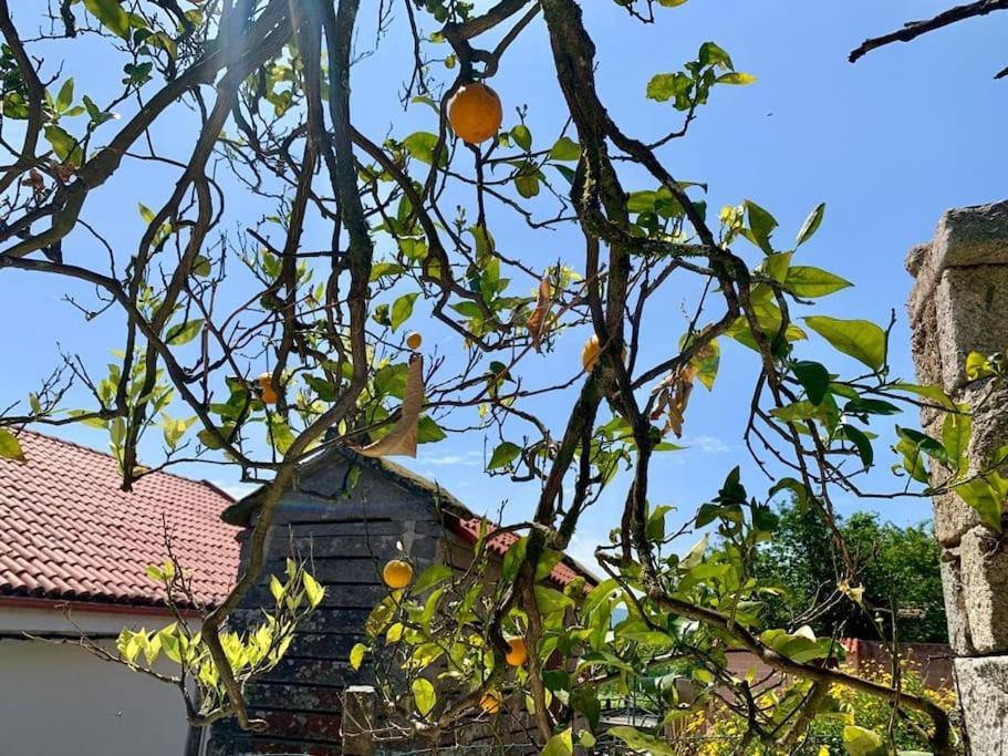 Villa Casa Gerente Muros Exterior foto